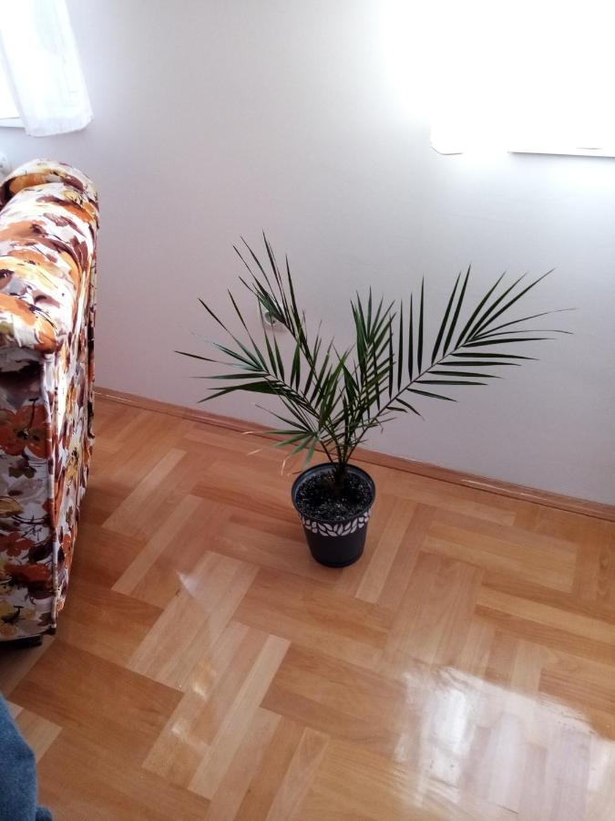 Apartman Maca Pirot Dış mekan fotoğraf